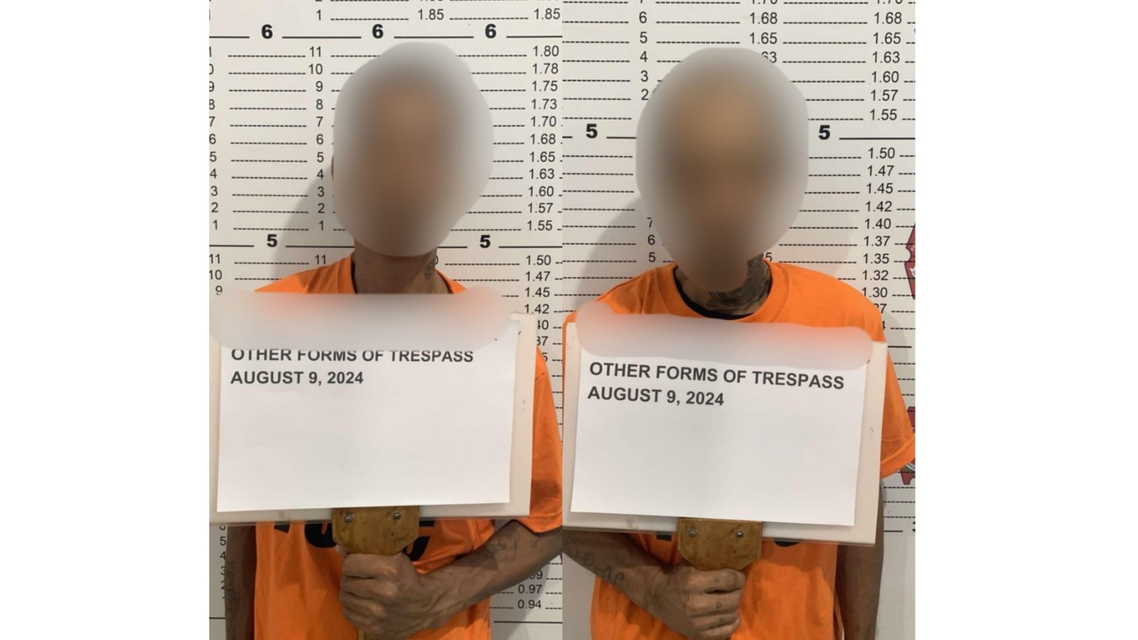 Attempted motorcycle theft foiled in San Carlos City, two suspects arrested